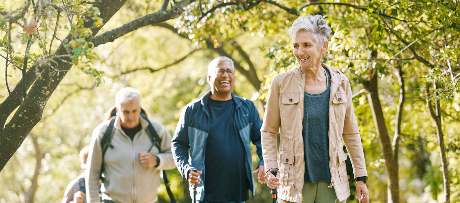 four seniors hiking in the forest